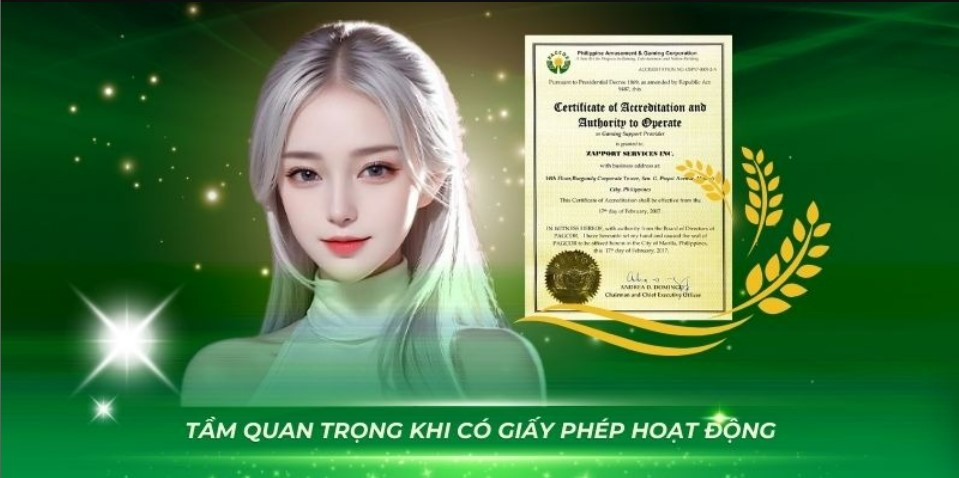 Tìm hiểu giấy phép hoạt động King88